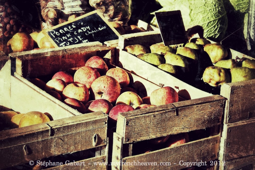 IMG_1889 _Snapseed _Snapseed