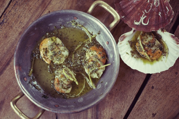 Scallops, seafood, scallop recipe, wine tours in bordeaux, food and lifestyle photography