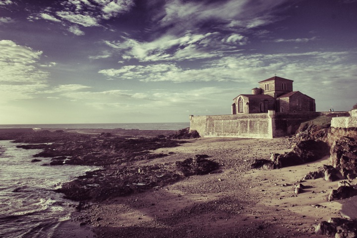 Scallops, seafood, scallop recipe, wine tours in bordeaux, food and lifestyle photography