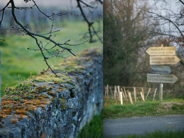 Cured duck breast - Wine tours in Bordeaux - Food and photography workshops - Food photography - Food and lifestyle photography
