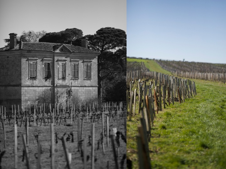 Cured duck breast - Wine tours in Bordeaux - Food and photography workshops - Food photography - Food and lifestyle photography