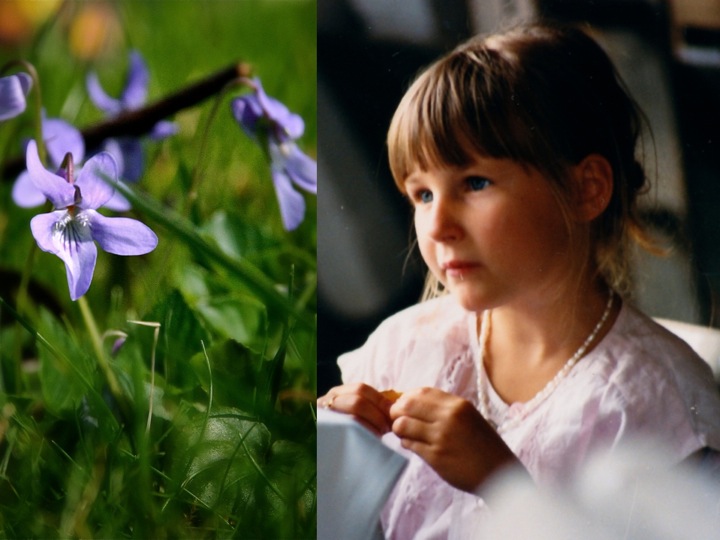Madeleines, Bordeaux Wine Tours, France, Food and Lifestyle photography