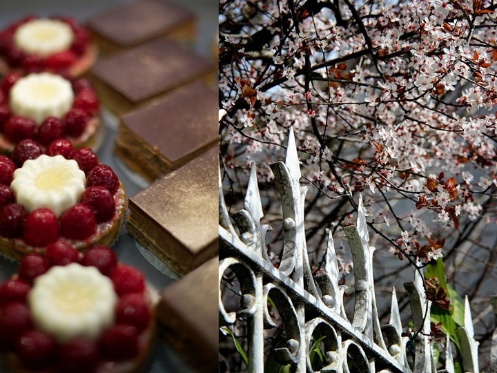 Pastries and flowers, bordeaux wine tours, Food and lifestyle photography