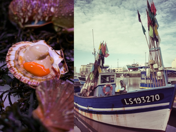 Scallops, seafood, scallop recipe, wine tours in bordeaux, food and lifestyle photography