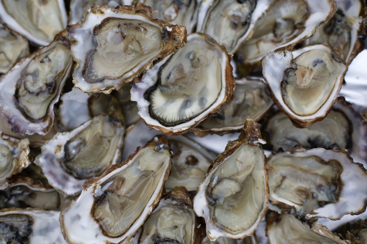 Oysters from île d'Oleron