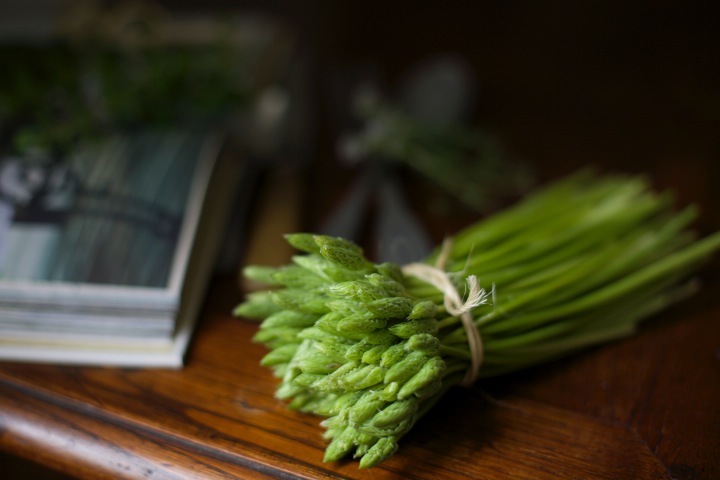 Wild asparagus