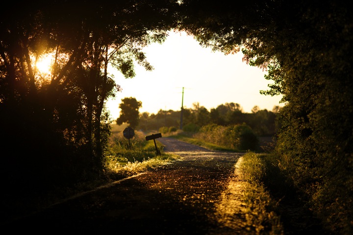 Early summer in France