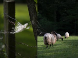 village-basque-country-france