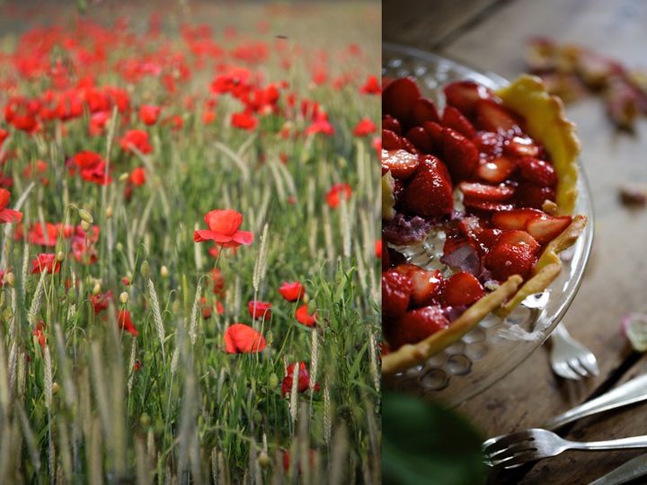 Poppies and strawberries