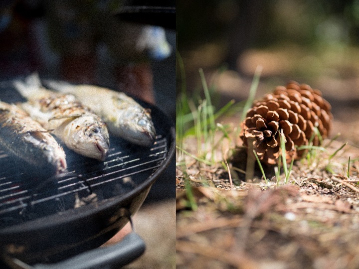 Grilled fish Cap Ferret France