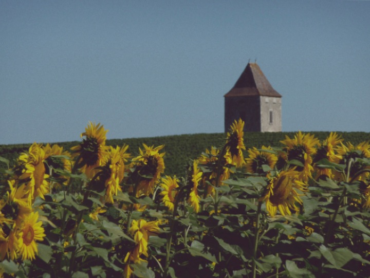 Image 30-07-2014 à 17.24