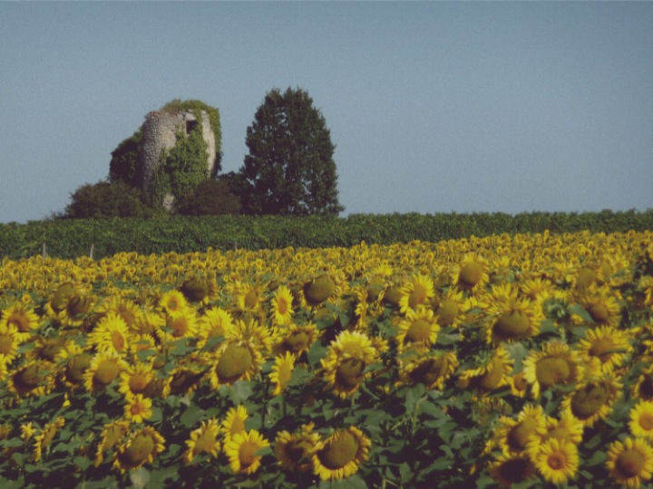 Image 30-07-2014 à 17.25 (1)