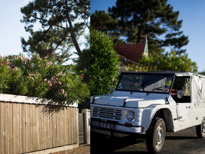 MehariCap Ferret France