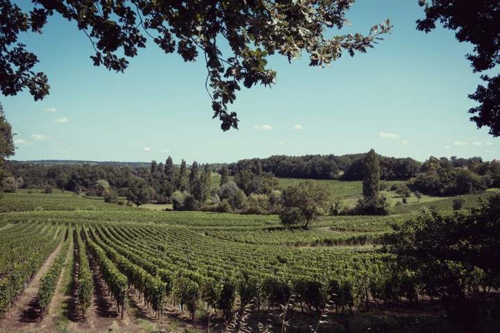 05082014-DSC01139_Snapseed