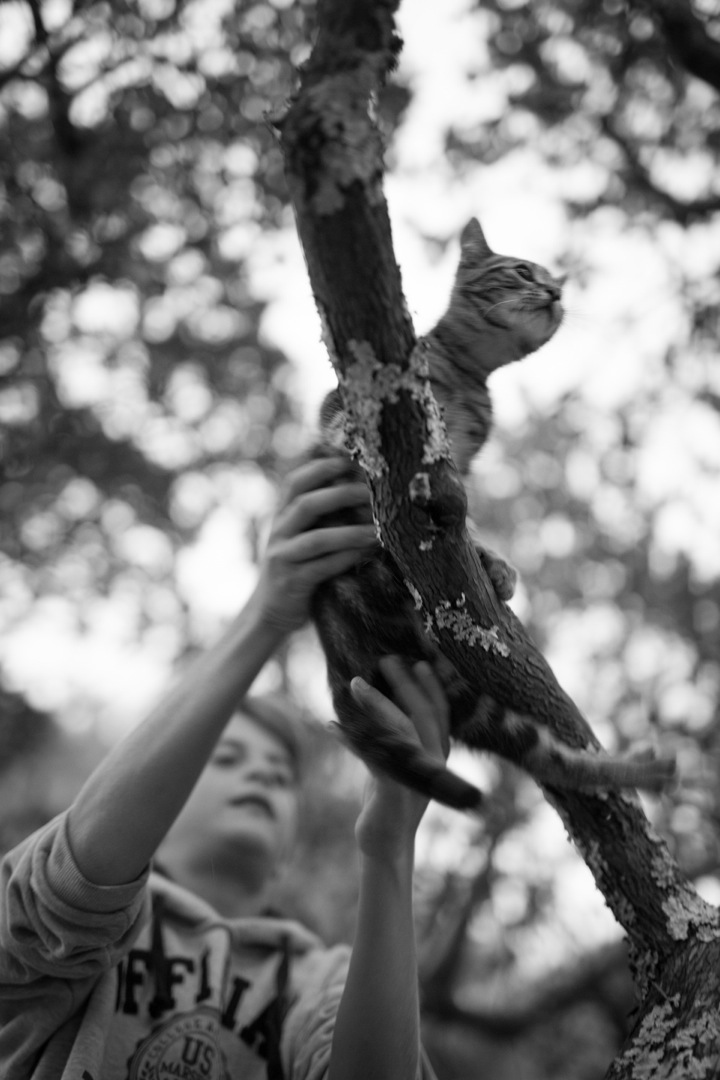 Wedding at the lake house