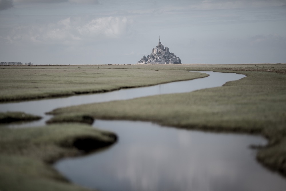 cooking-class-in-bordeaux