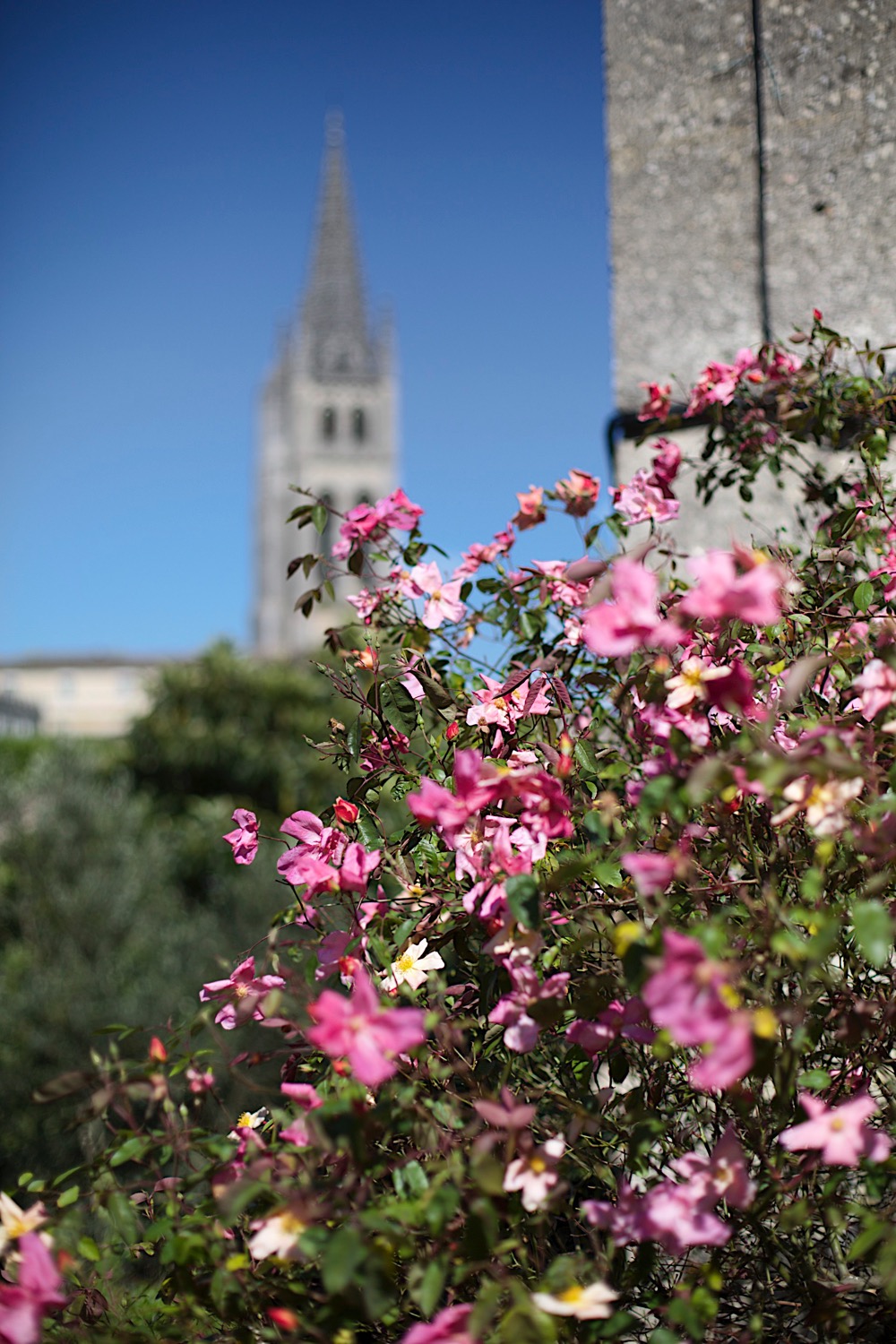 Bordeaux-cooking-class