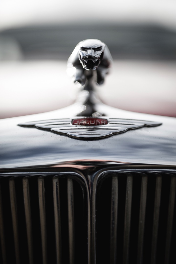 Jaguar-hood