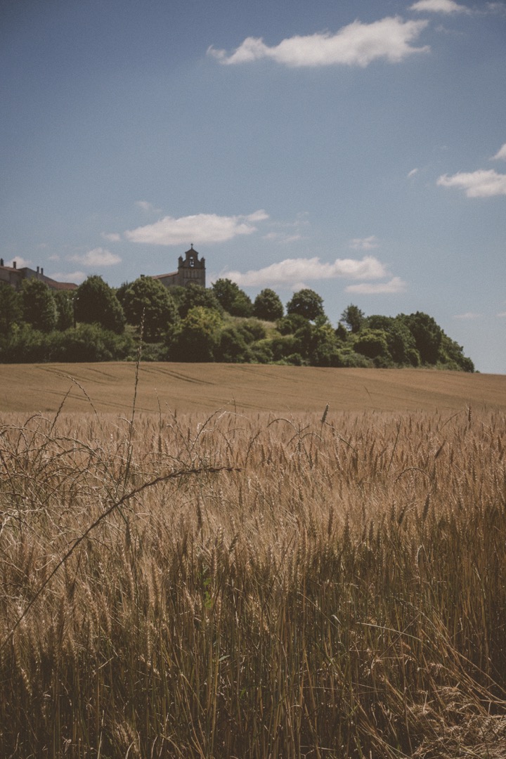 Chateau-des-vigiers-france