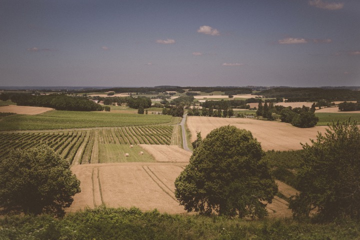 Chateau-des-vigiers-france