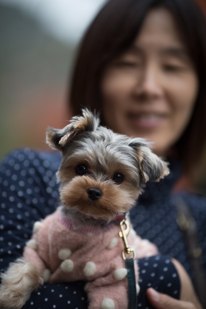 stephane-gabart-portrait-voleurdames