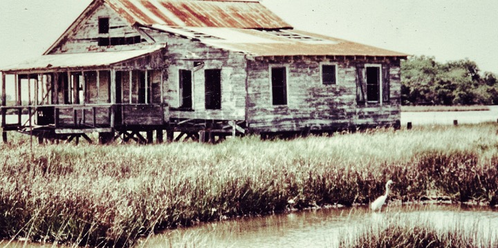 BBQ-shrimp-new-orleans