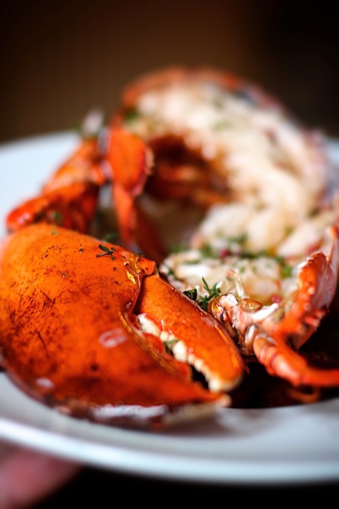 gabart-brittany-france