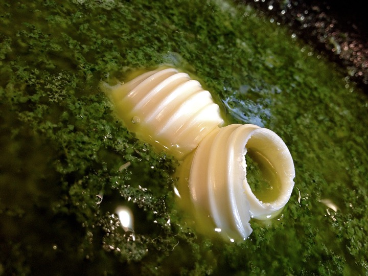 gabart-brittany-france