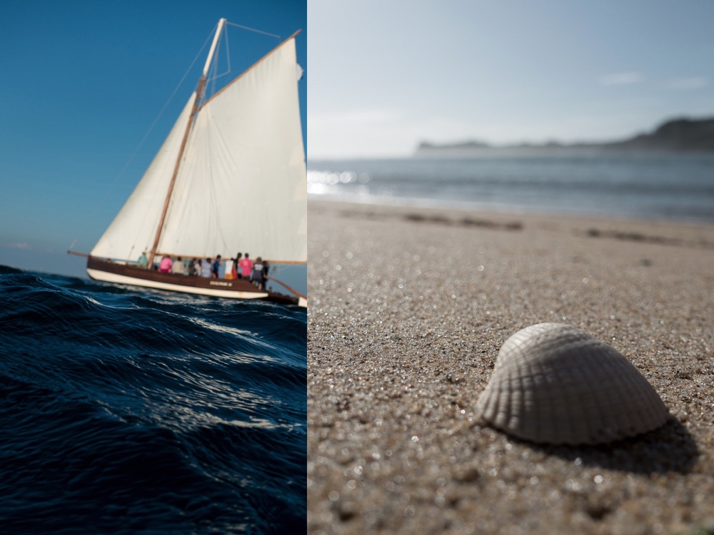 Every Mediterranean country has its own anise based alcoholic beverage. In Greece it's Uzo, in France it's Ricard. We call this type of drink "anisette"... It is very popular everywhere in France, but it is an absolute star in Provence! It is also perfect to "flambé" seafood. You can find it almost anywhere in the world.